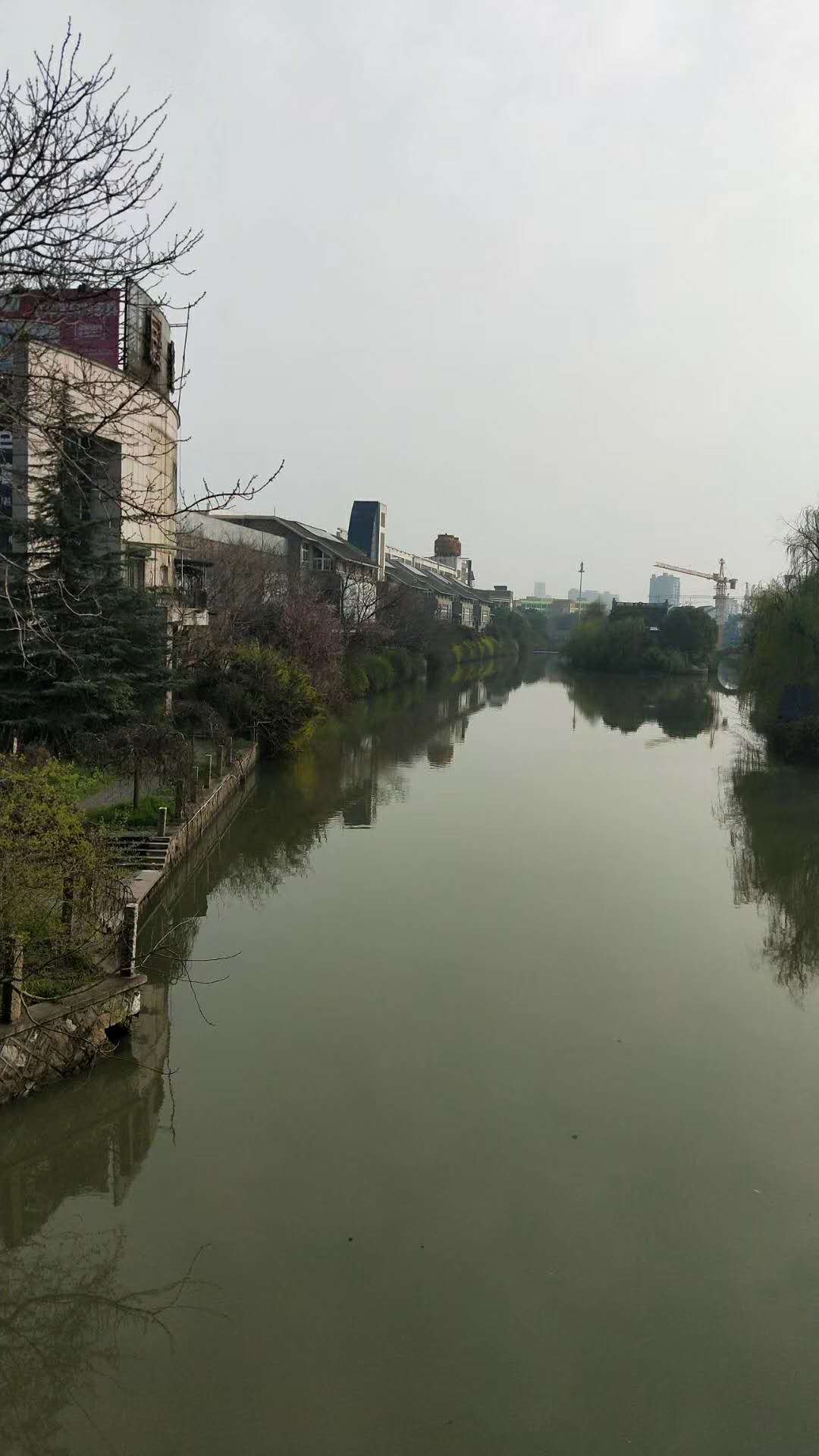 顾家家居最大的店,顾家家居官方旗舰店橱窗