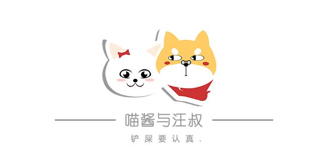 奶猫照顾攻略,奶猫成长法则