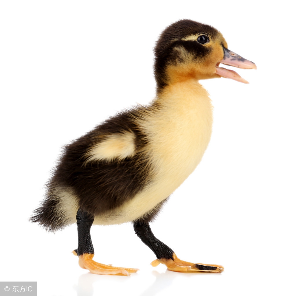 因为你的一句话却让我们有了隔阂,有没有那么一句话让你突然沉默