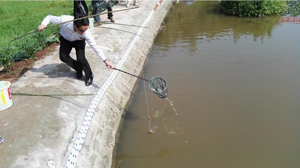 野钓钓技钓法,野钓钓虾技巧和口诀