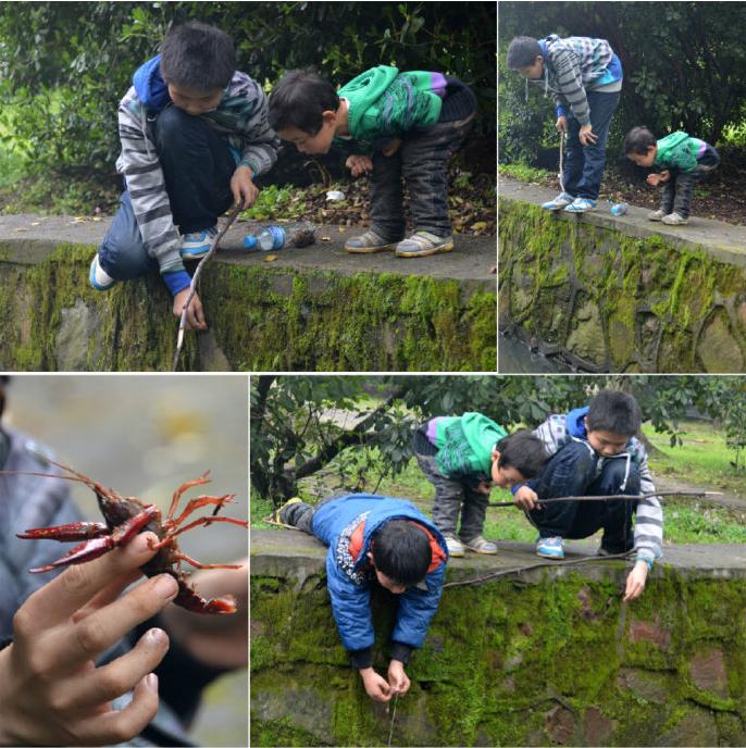 野钓钓技钓法,野钓钓虾技巧和口诀