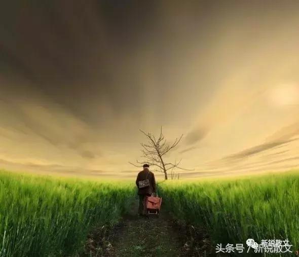 我是一只飘摇的风筝，终将走不出她的慈爱和柔情凝结成的线