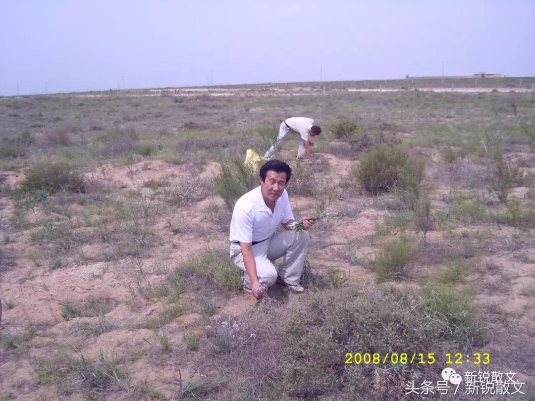 我是一只飘摇的风筝，终将走不出她的慈爱和柔情凝结成的线