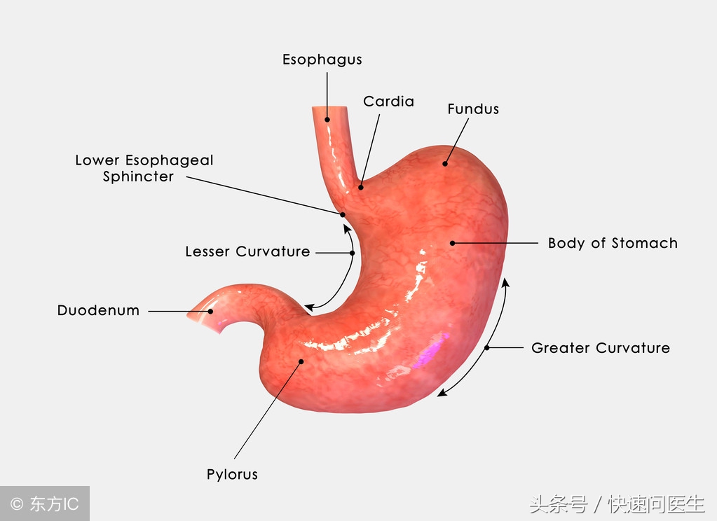 胃部间歇性的疼痛是怎么回事,胃部间歇性疼痛怎么回事