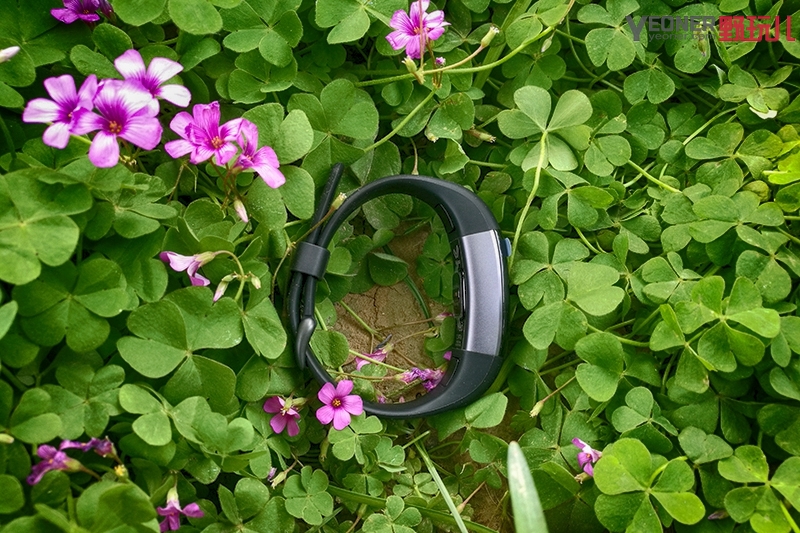 唯乐手环亲身体验,唯乐手环推荐