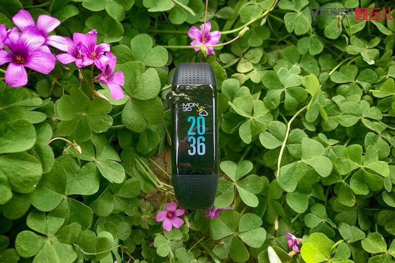 唯乐手环亲身体验,唯乐手环推荐