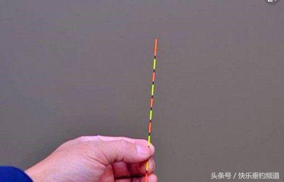 怎么跑铅能钓到鱼而调漂钓不到鱼,为什么学会调漂钓不到鱼
