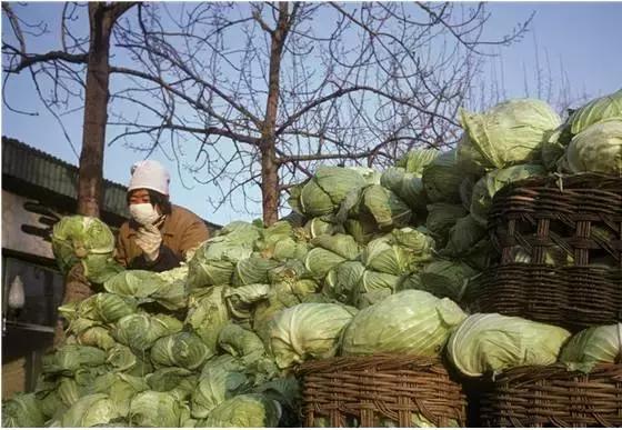 北京的珍贵照片,最难得一见的老北京照片