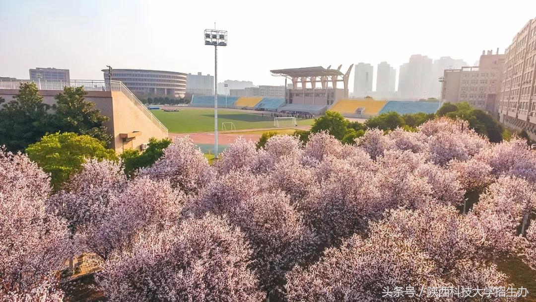 骄傲！身高192cm的“运动男神”，身高176cm的“标准女神”为陕科大代言