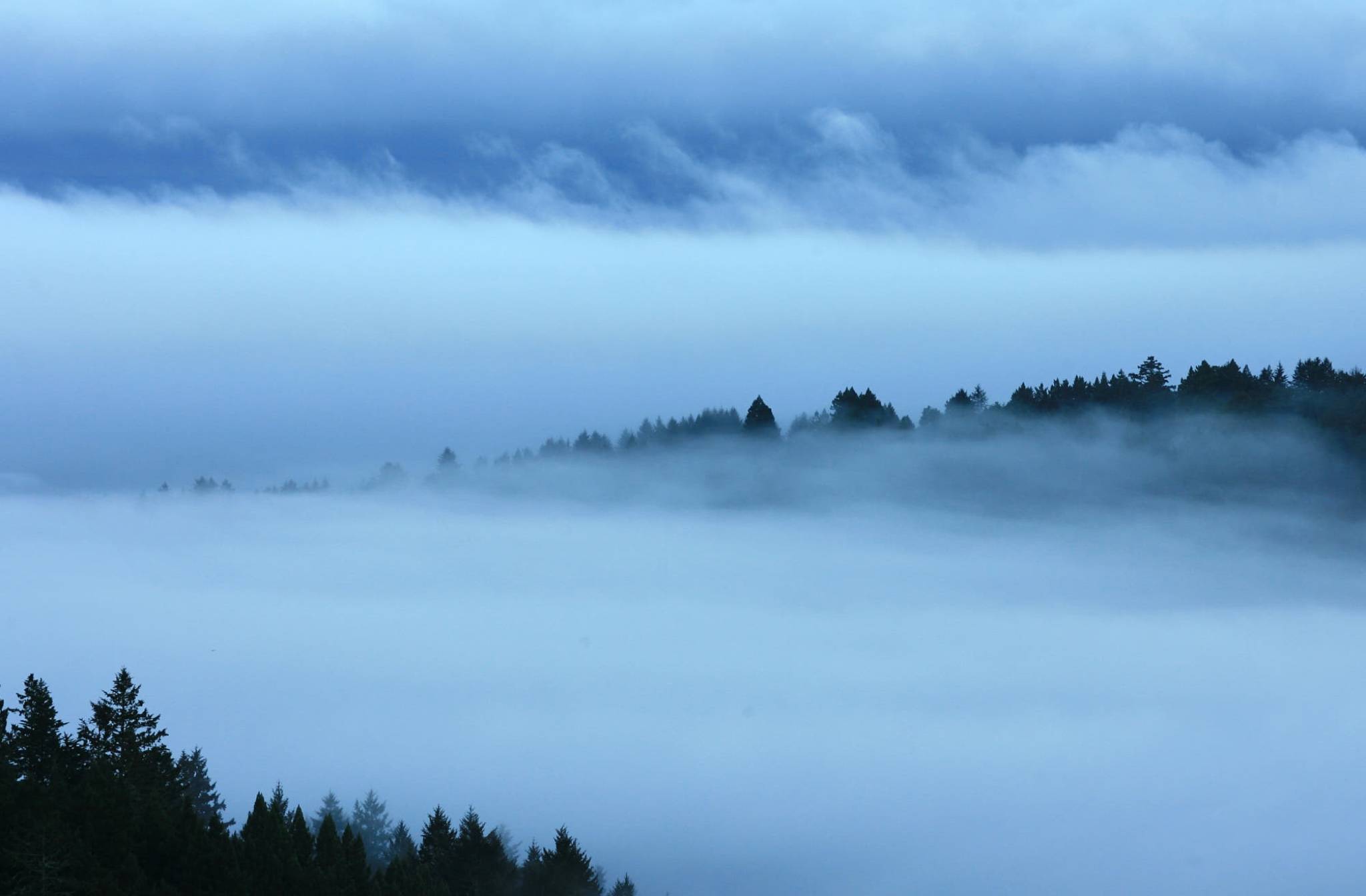 励志的名言名句或者古诗,励志的古诗词名言警句