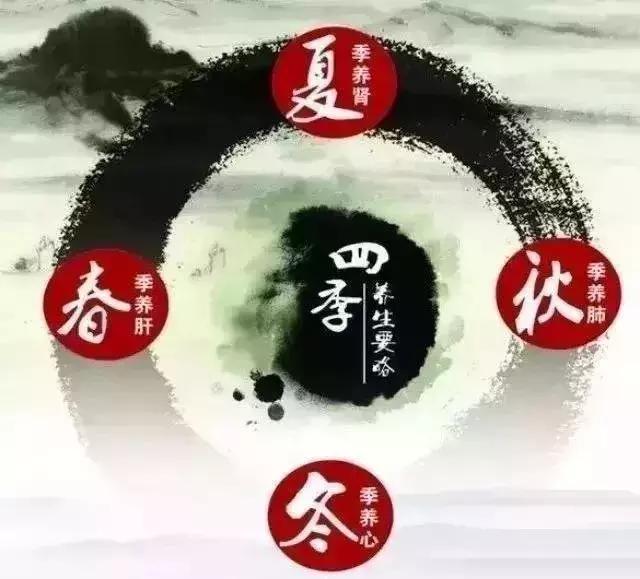 预告！想了解中医药文化的戳这里！