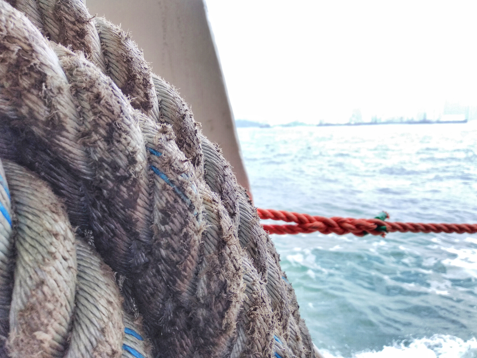 带零食去香港澳门,带着坚果去旅行