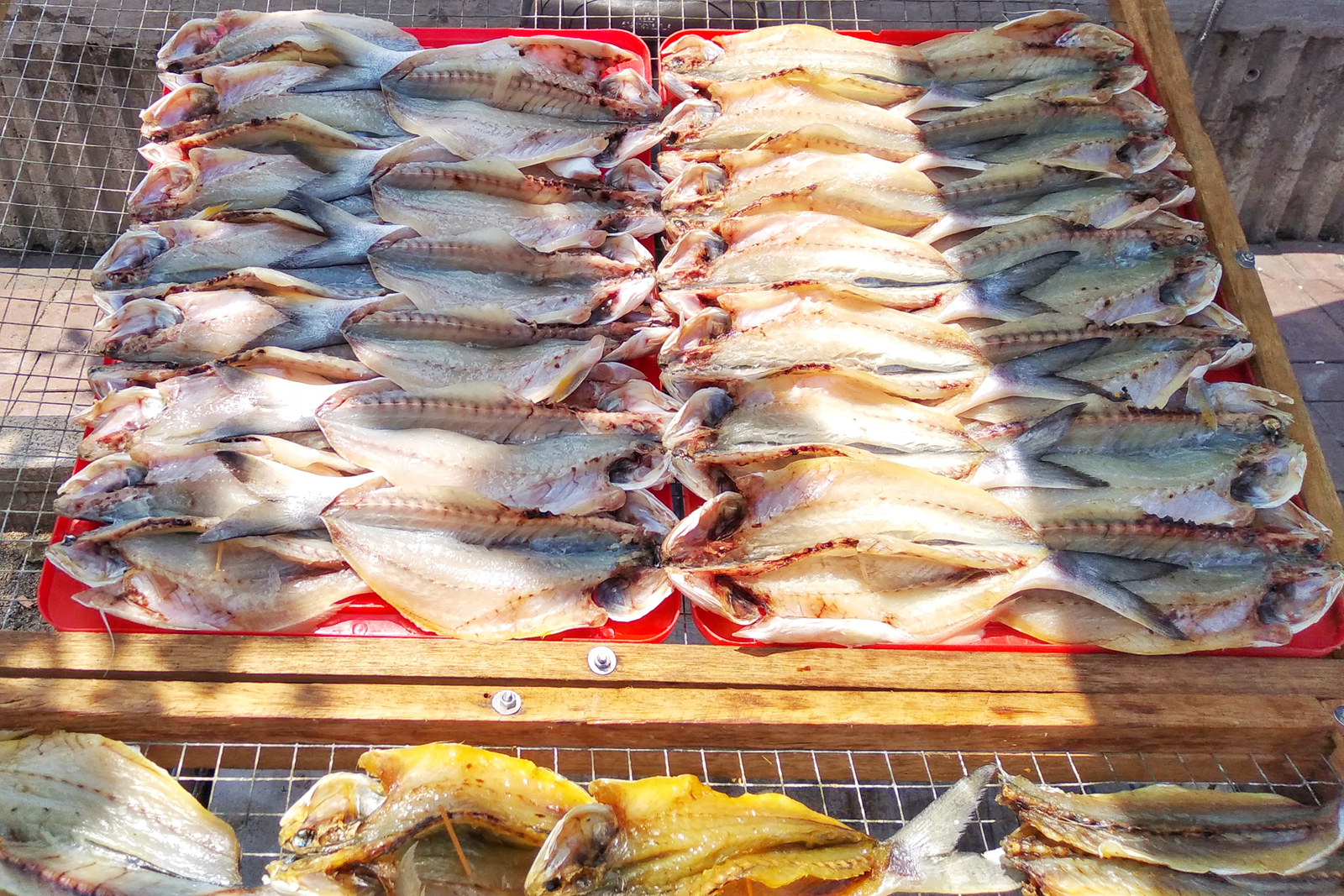 带零食去香港澳门,带着坚果去旅行