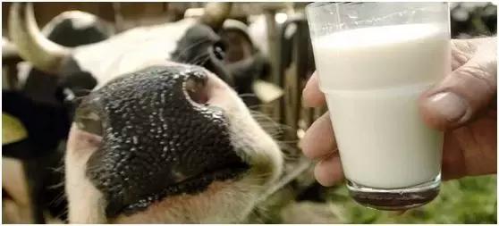 德国奶粉降价,德国真实奶粉价格