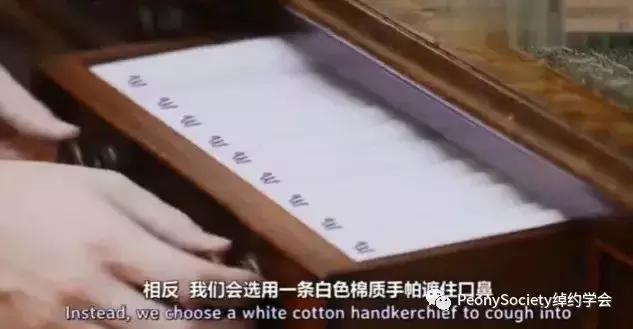 礼仪需要提高三个方面,礼仪礼貌提高个人修养