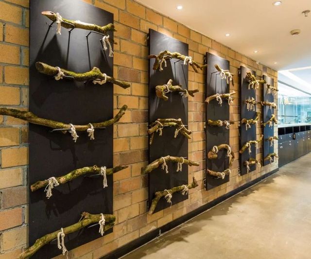 广州有家柴火酒家,广州柴火灶土菜馆