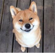 爱笑的女生如何避免法令纹加深,消除笑出来的法令纹最佳方法