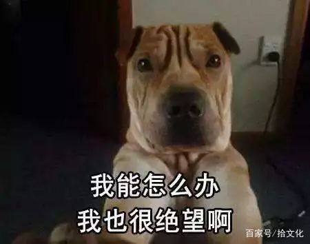 读错字很丢人,读错字在所难免