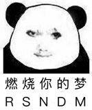 dnf年度职业第一人男柔道,dnf男柔道属于几线职业