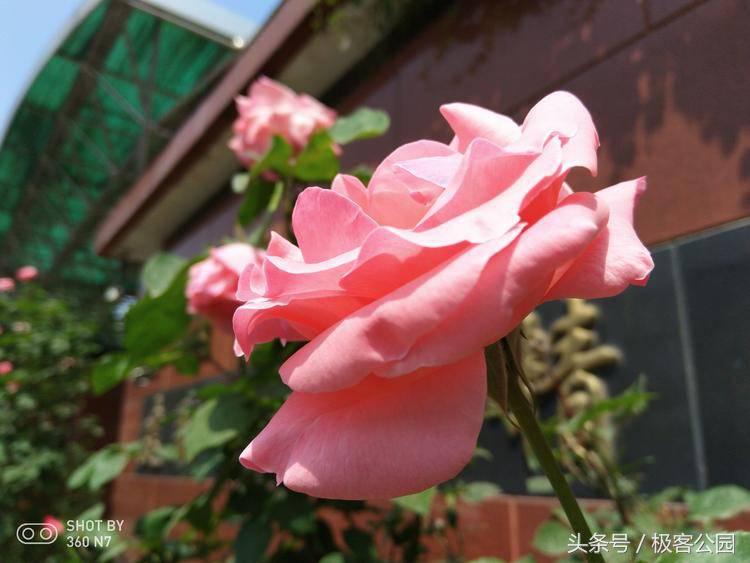 360n7pro8.21登场骁龙710加持,360n7和骁龙710