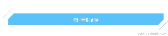 素颜霜超火的,很火的红瓶素颜霜