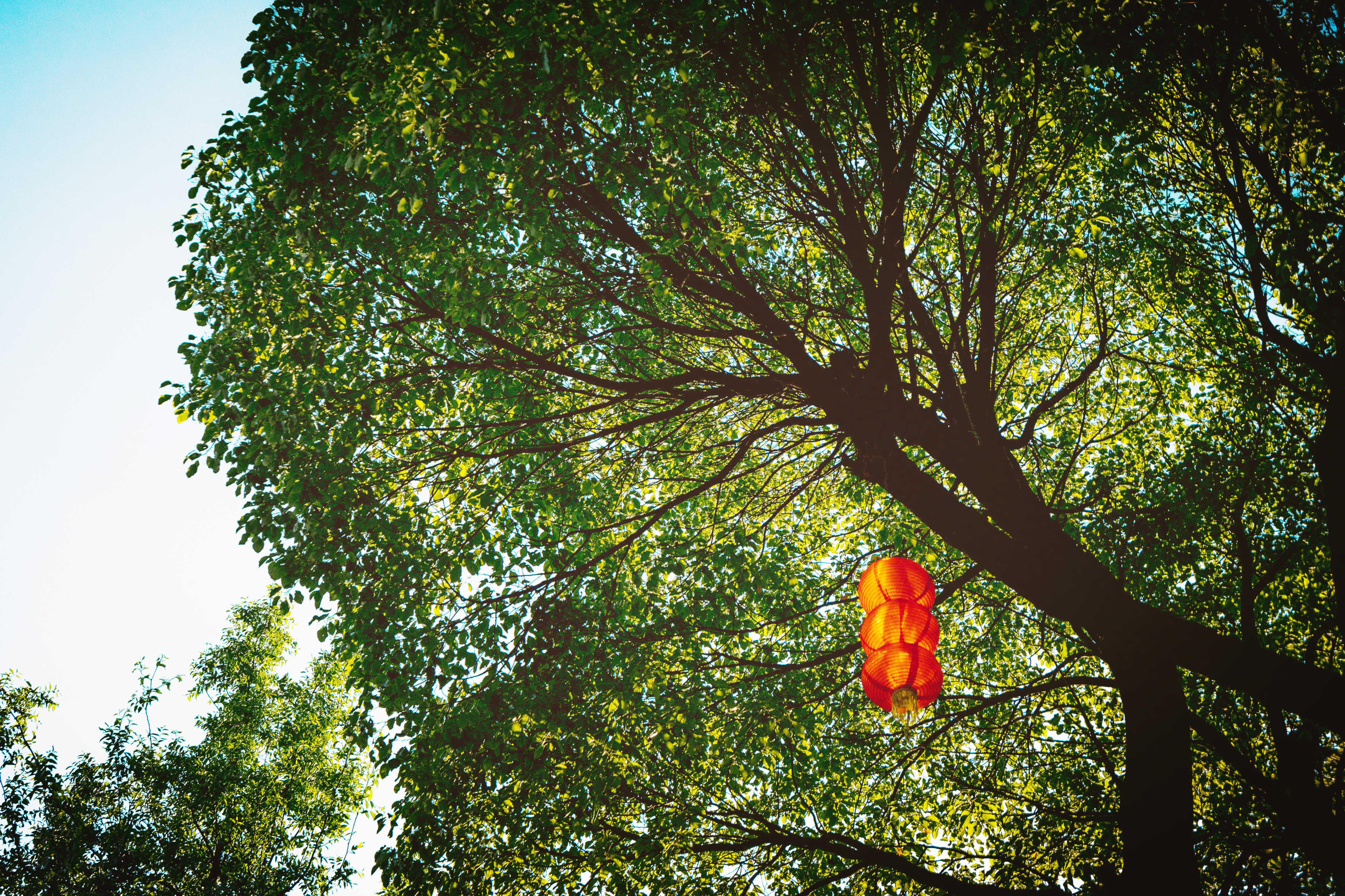 乾隆六次下江南穹窿山,穹窿山乾隆御道介绍