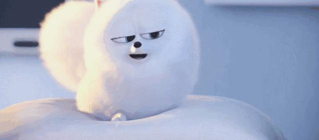 便宜又实用的药妆 (20款药妆使用感受)