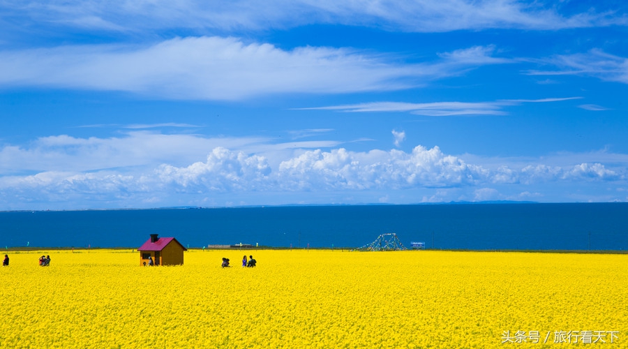 一生一次拍婚纱照技巧,一生只拍一次的婚纱照