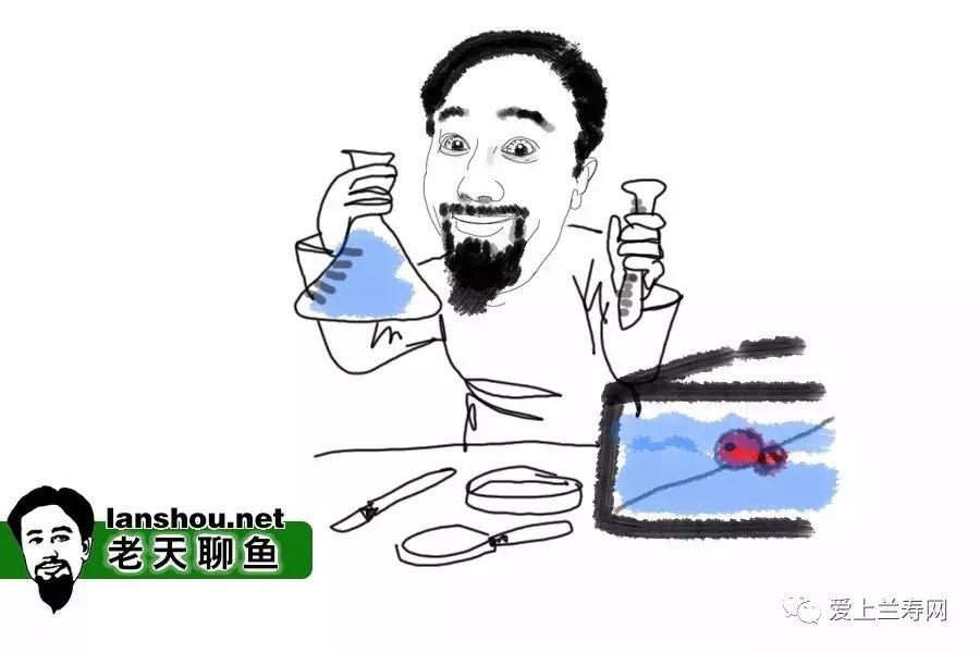 老天聊鱼（77）金鱼秘籍说说计量单位吧