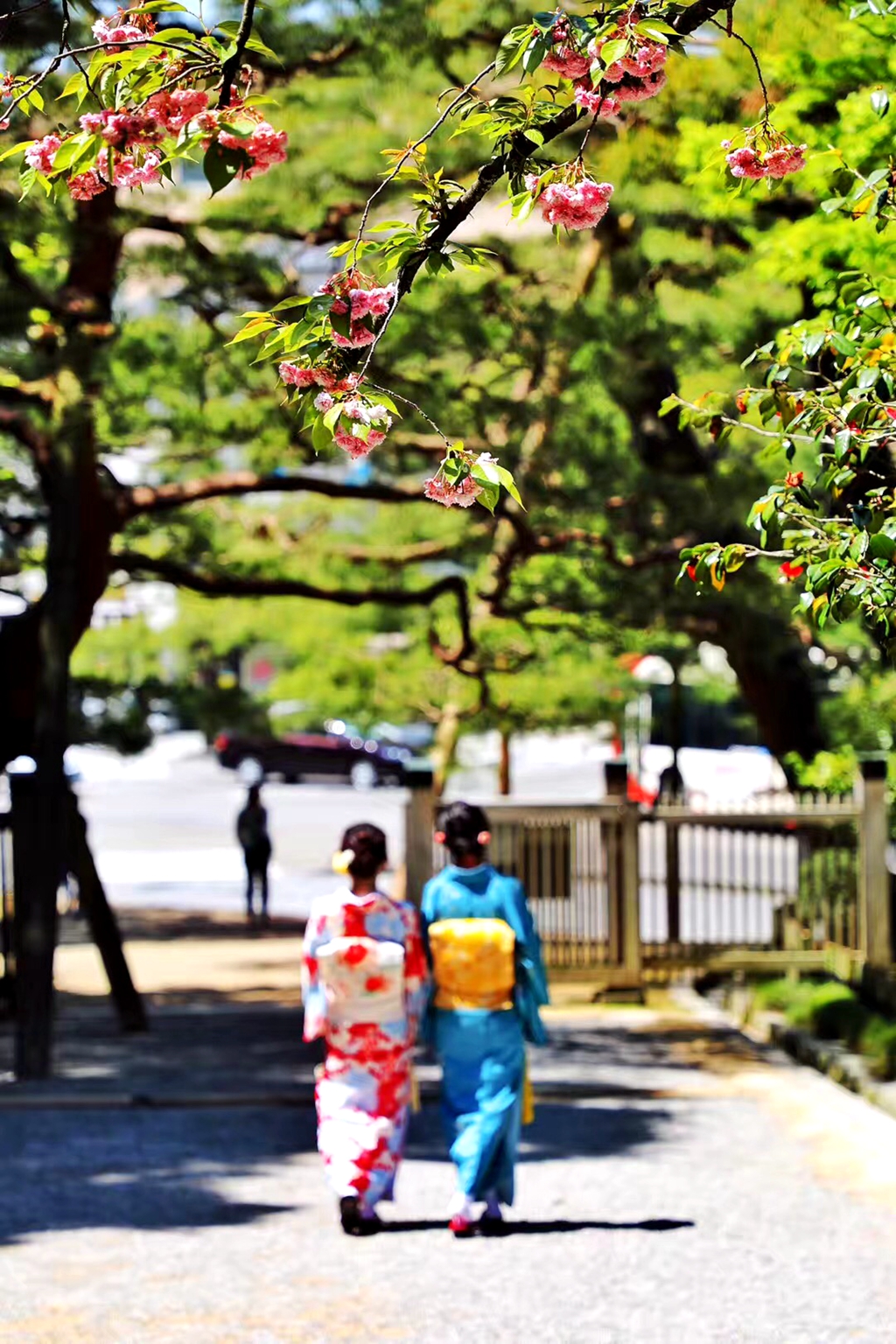 日本大阪至东京旅游路线,大阪到富士山旅游攻略大全