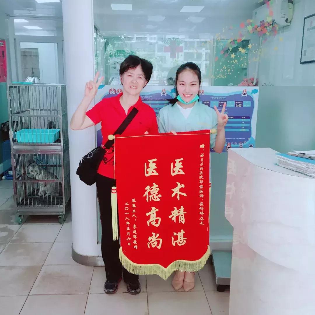 牛膈疝的症状和危害,动物轻微脐疝处理