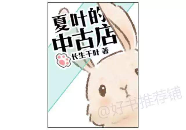 不书荒,不书荒书单