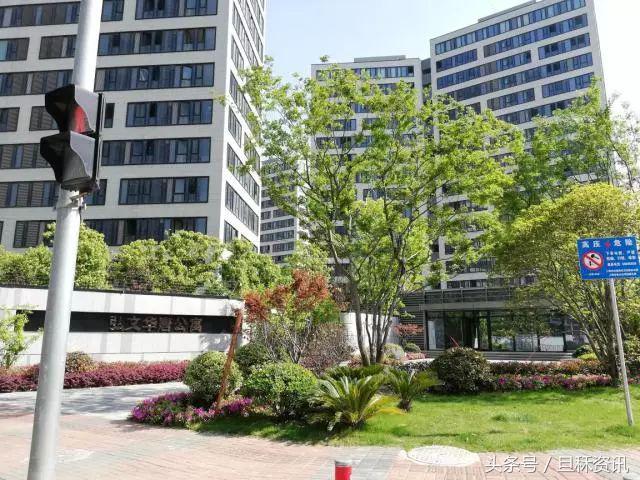 为什么富人总是发现赚钱先机,为什么富豪都投资房地产