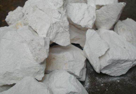 花土生小虫用什么办法杀虫,花卉生虫杀虫办法