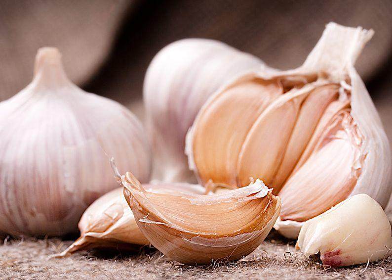 花土生小虫用什么办法杀虫,花卉生虫杀虫办法