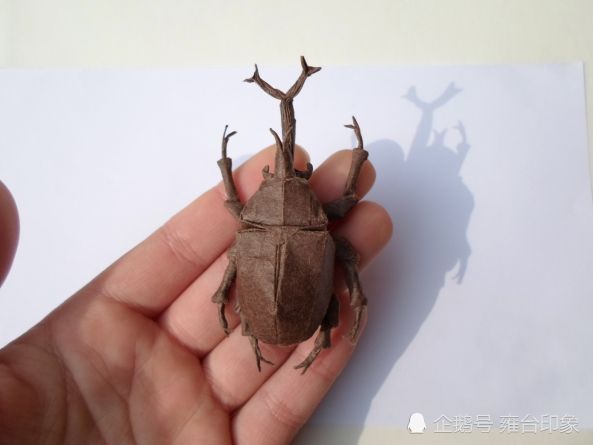 寝室可以养宠物吗,学校寝室养宠物违法吗