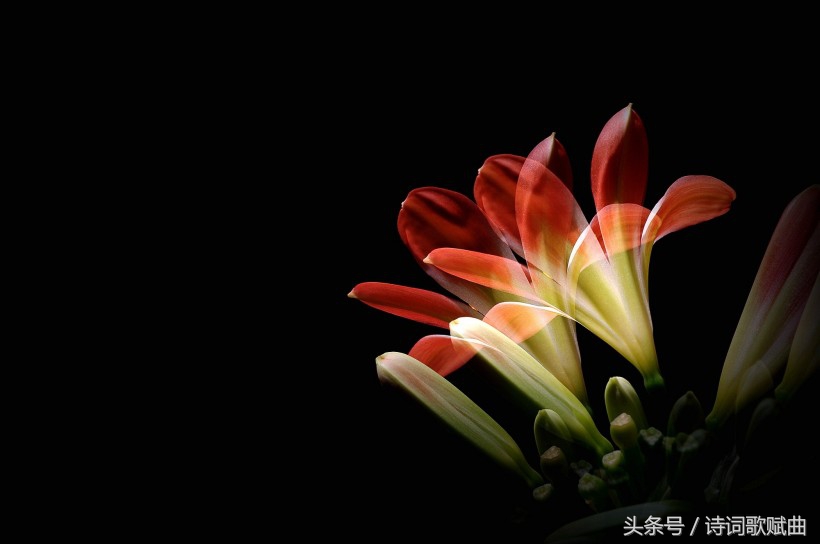 谁说毛*东泽**没写过抗日有关诗词,这几首难道不是?