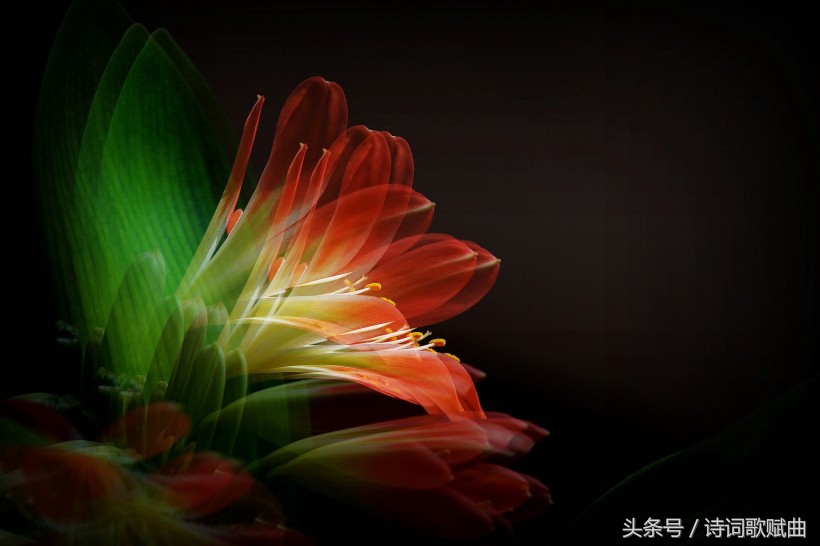 谁说毛*东泽**没写过抗日有关诗词,这几首难道不是?