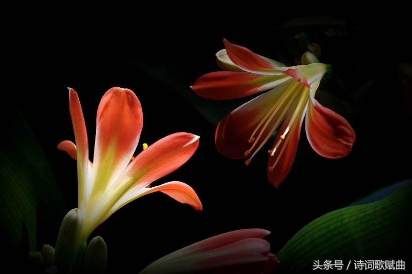 谁说毛*东泽**没写过抗日有关诗词,这几首难道不是?