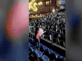 董卿跪地为什么获得网友的称赞,董卿卑躬屈膝