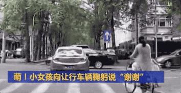 董卿跪地为什么获得网友的称赞,董卿卑躬屈膝
