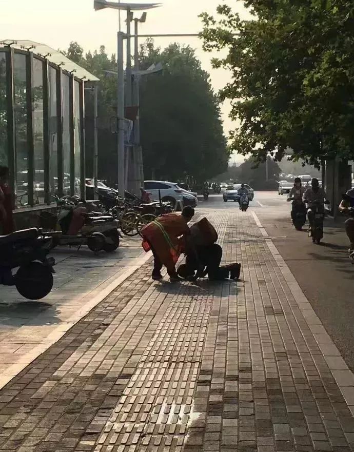 董卿跪地为什么获得网友的称赞,董卿卑躬屈膝