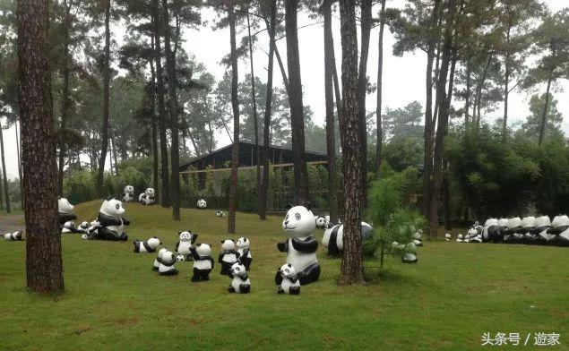 安吉亲子度假酒店有哪些,浙江十大亲子度假酒店