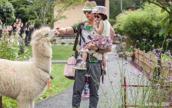 安吉亲子度假酒店有哪些,浙江十大亲子度假酒店