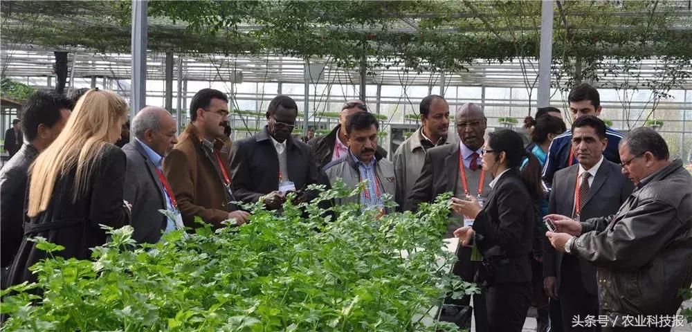 蝶变西安,富平农村蝶变