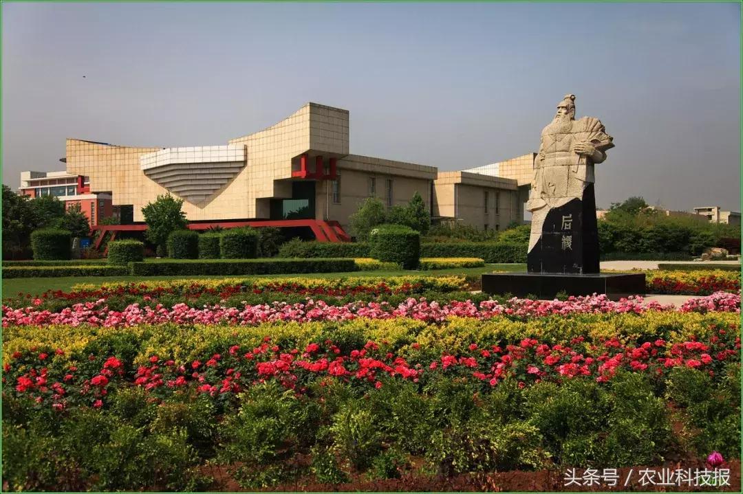 蝶变西安,富平农村蝶变