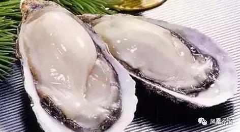 “一白遮百丑”，夏日美白除皱必备佳肴