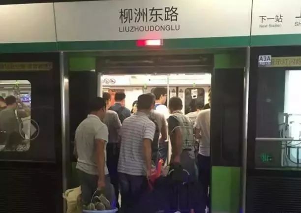 董卿跪地为什么获得网友的称赞,董卿卑躬屈膝