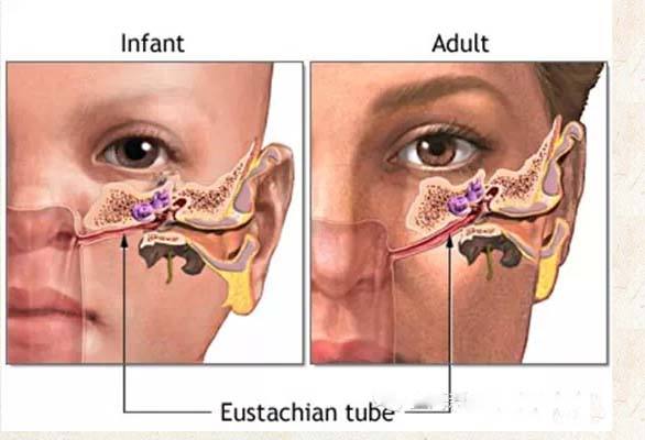 被遗忘的角落男声版,被遗忘的角落插曲