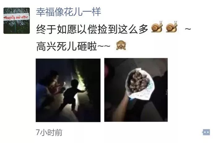 蜗牛身上有好多特别特别小的虫子,碰到那么小的蜗牛会有寄生虫吗